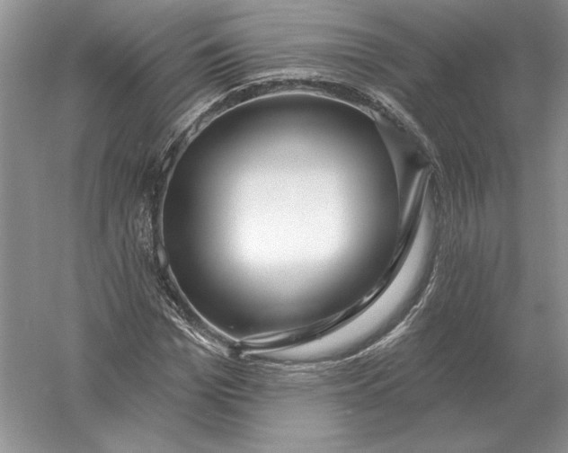X0000056010969200509092108