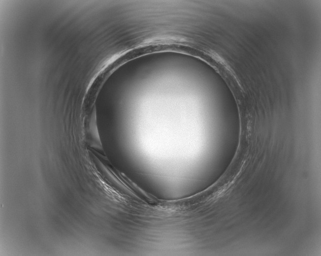 X0000056010973200509092107