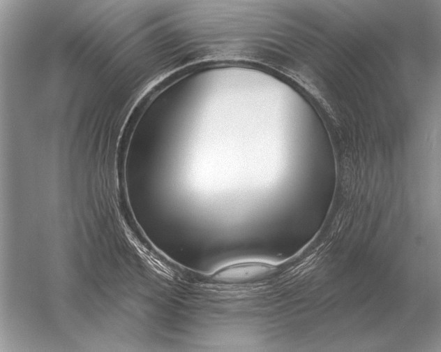 X0000056010980200509092107