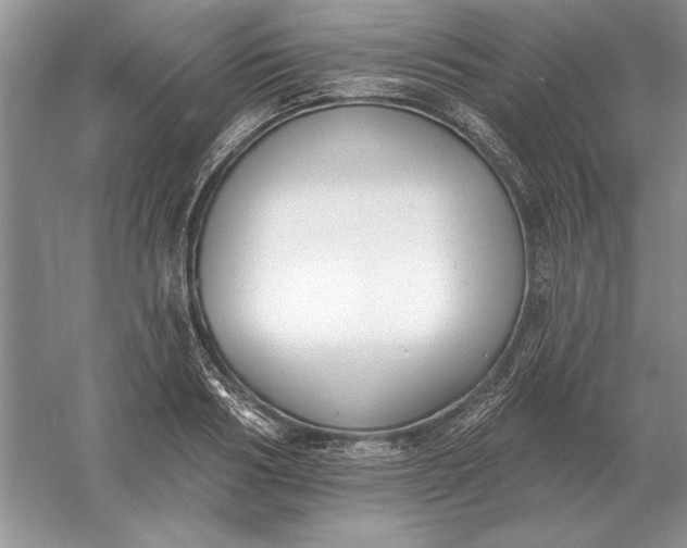 X0000056010986200509092107