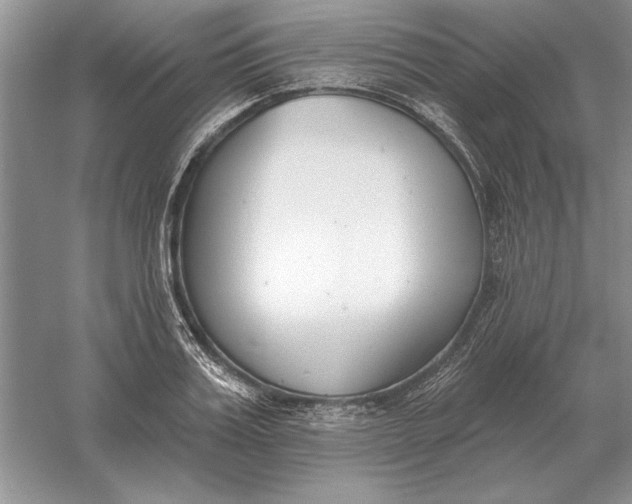 X0000056010987200509092107