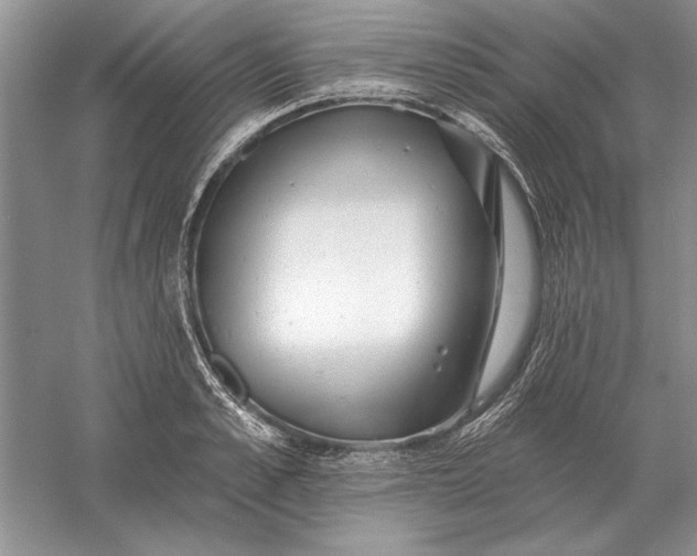 X0000056010989200509092107