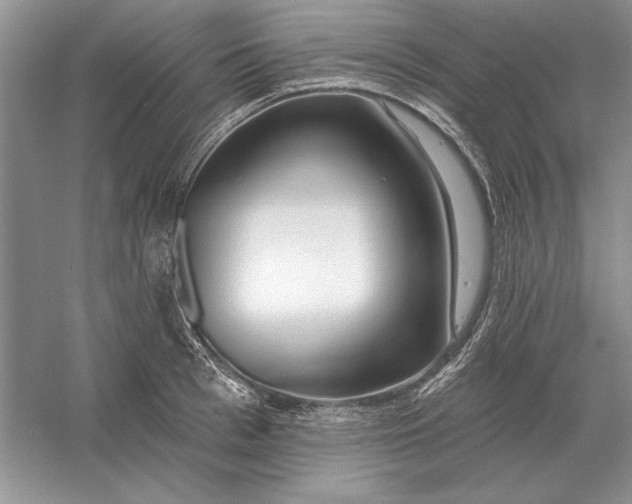 X0000056010993200509092107