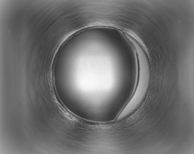 X0000056010996200509092107