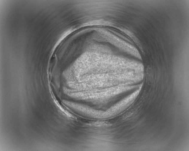 X0000056010998200509092107