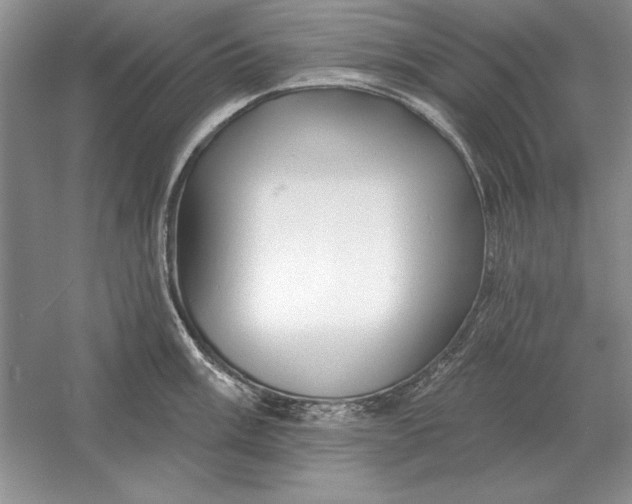 X0000056011003200509092107