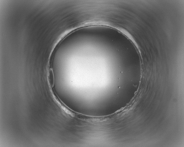 X0000056011005200509092107