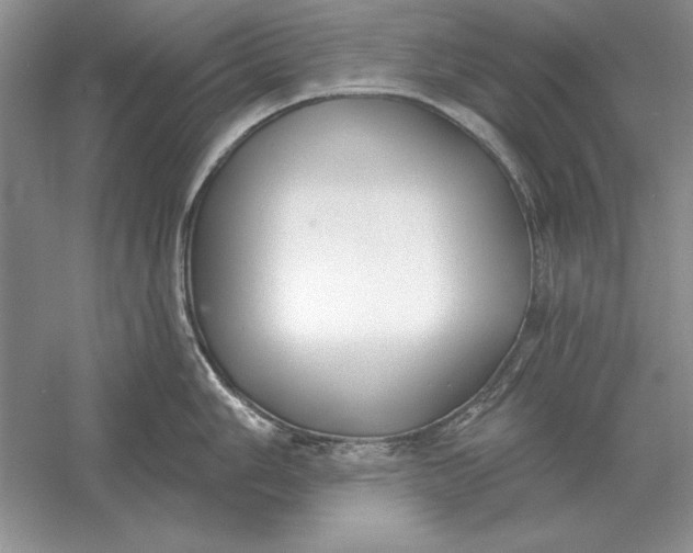 X0000056011006200509092107