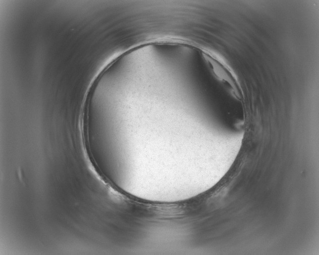 X0000056011007200509092107