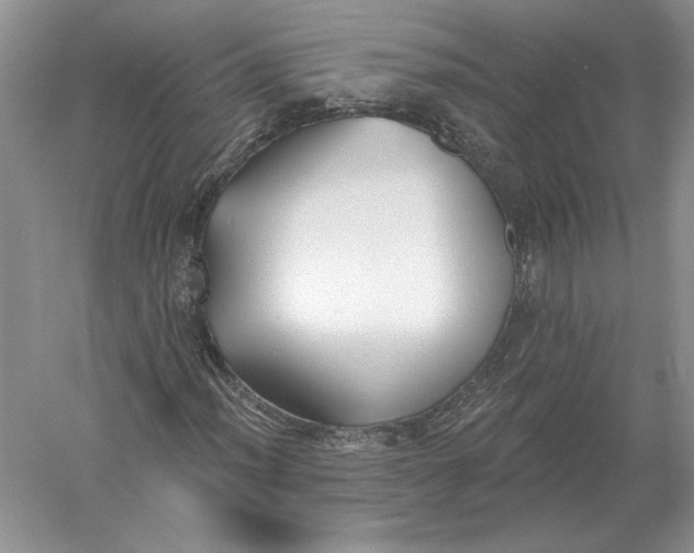 X0000056011012200509092106
