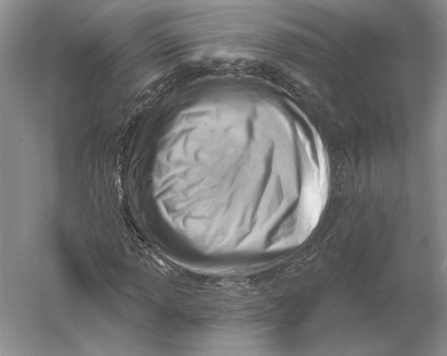 X0000056011013200509092106