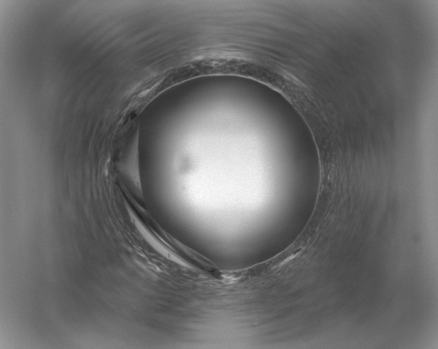 X0000056011014200509092106