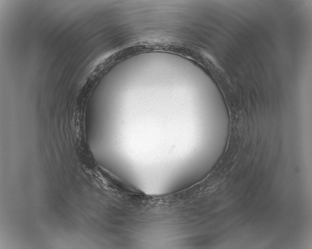 X0000056011016200509092106