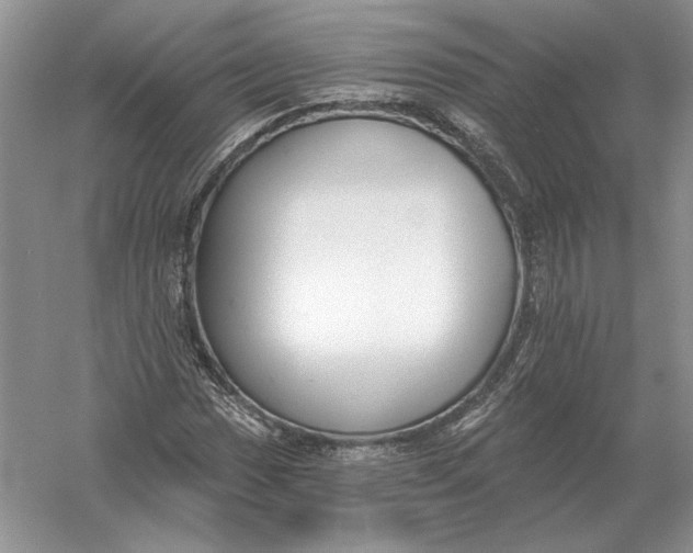 X0000056011017200509092106