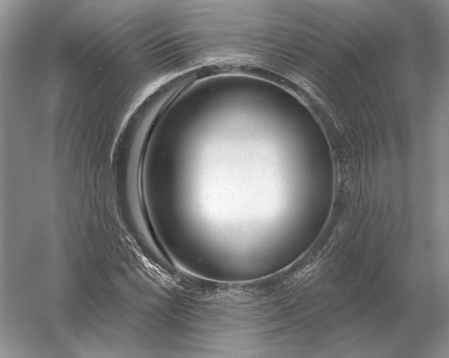 X0000056011022200509092106