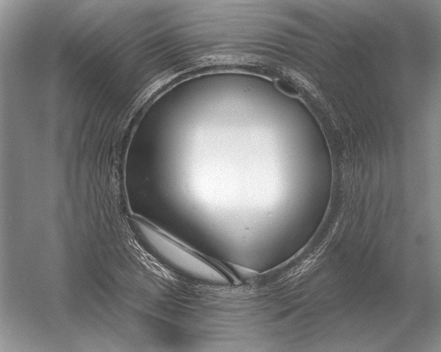 X0000056011025200509092106