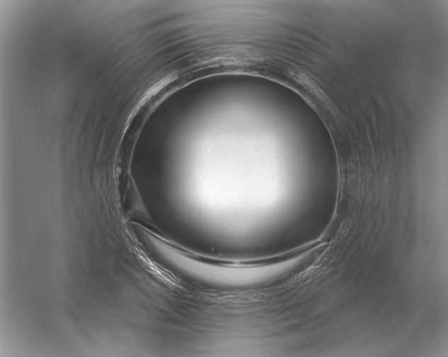 X0000056011026200509092106