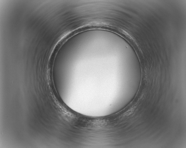 X0000056011029200509092106