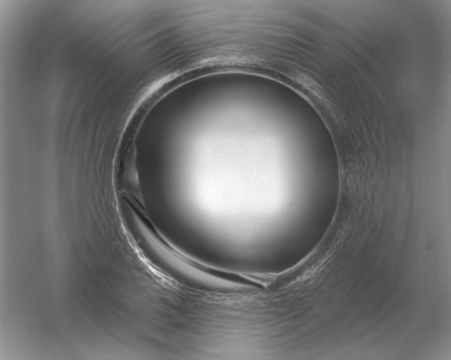 X0000056011030200509092106