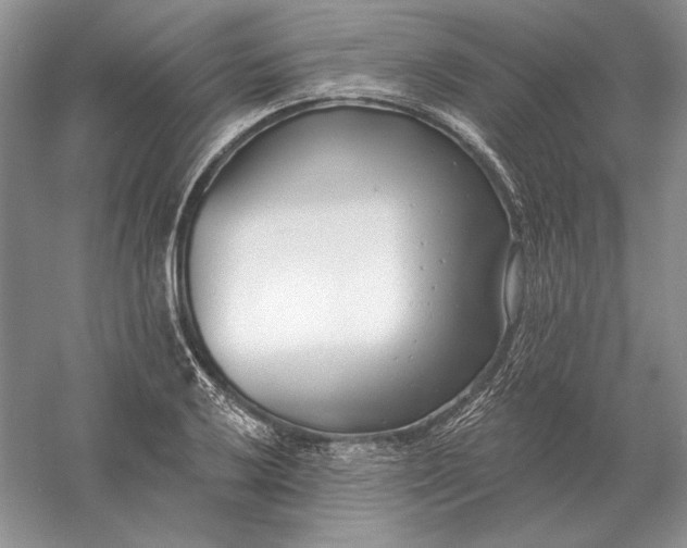 X0000056011032200509092106