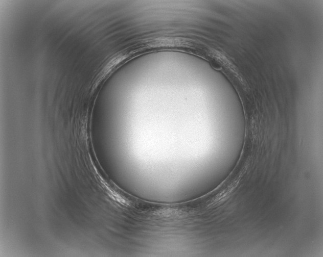 X0000056011033200509092106