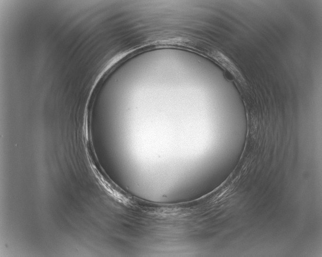 X0000056011036200509092106