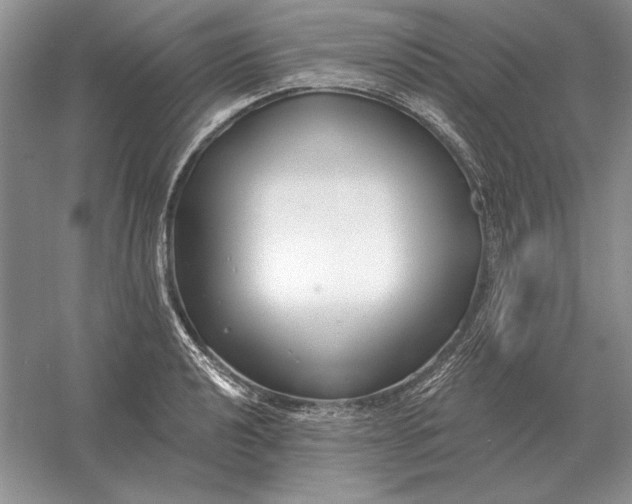 X0000056011040200509092107