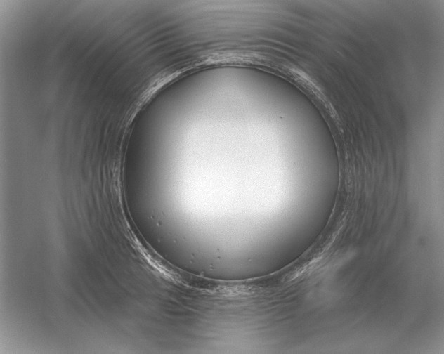 X0000056011041200509092107