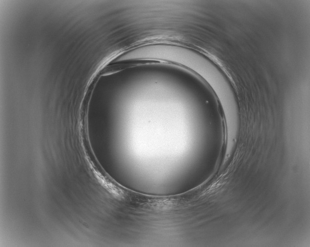 X0000056011042200509092107