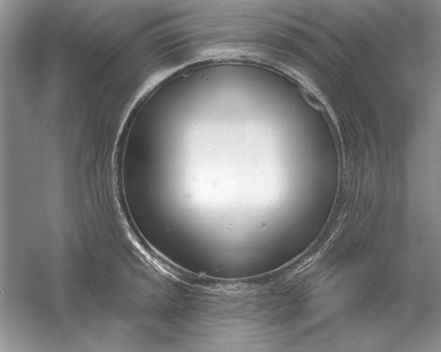 X0000056011045200509092107