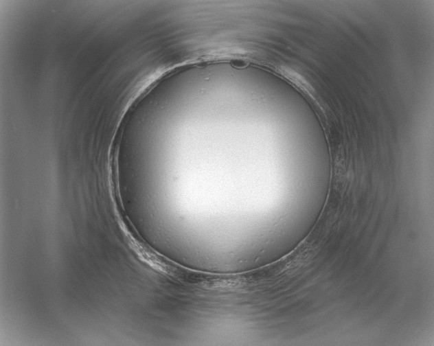 X0000056011047200509092107