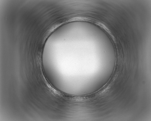 X0000056011049200509092107