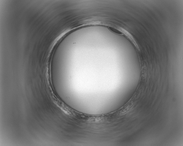 X0000056011051200509092107