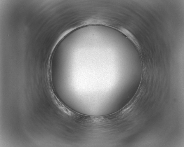 X0000056011052200509092107