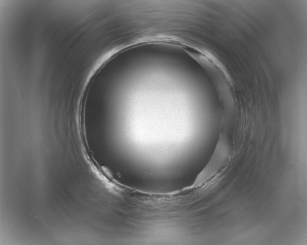 X0000056011054200509092107