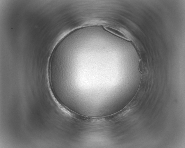 X0000056011055200509092107