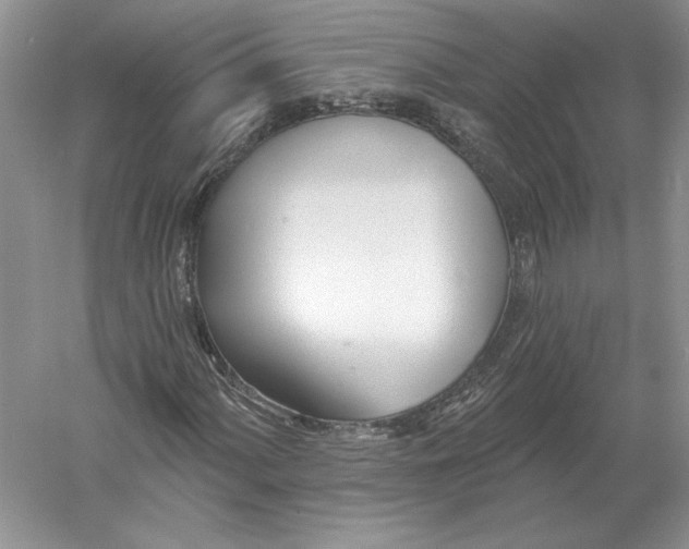 X0000056011060200509092106