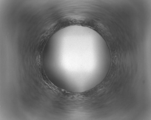 X0000056011061200509092106