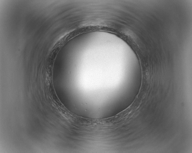 X0000056011064200509092106