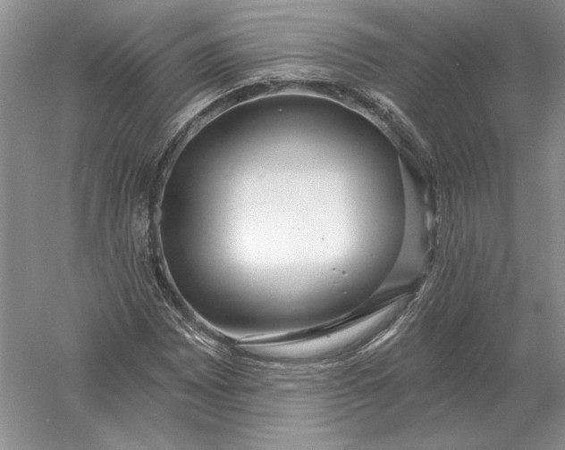 X0000056011065200509092106