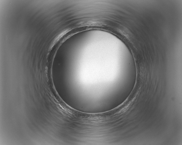 X0000056011066200509092106