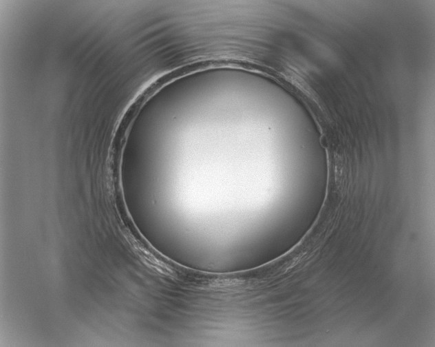 X0000056011068200509092106