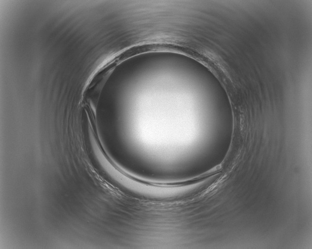 X0000056011069200509092106