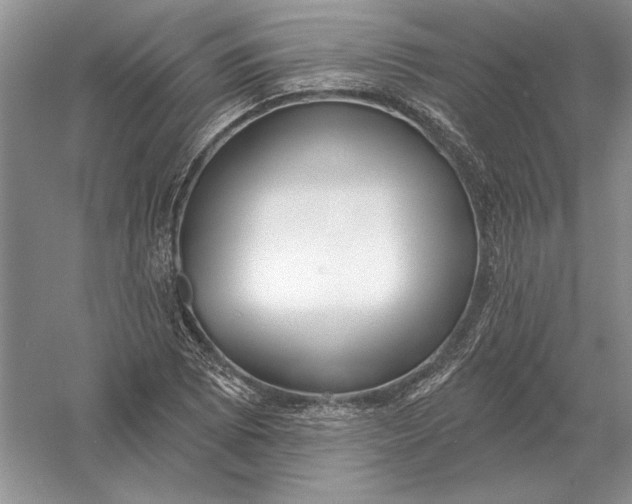 X0000056011073200509092106