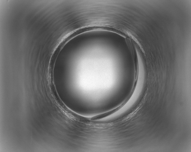 X0000056011077200509092106