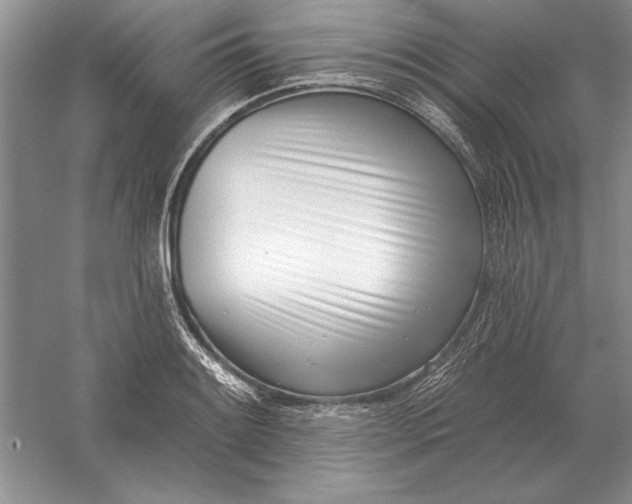 X0000056011084200509092106