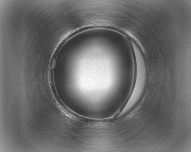 X0000056011085200509092106