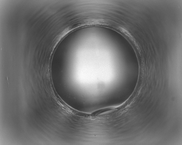 X0000056011089200509092105