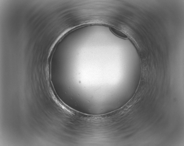 X0000056011092200509092105
