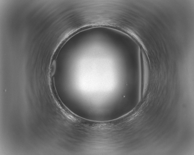 X0000056011093200509092105